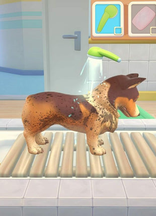My Universe: Pet Clinic (PS4)
