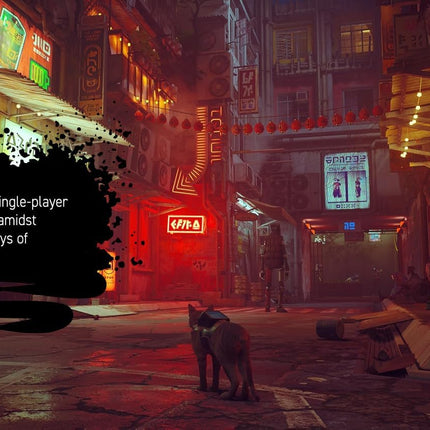 Stray (Nintendo Switch)