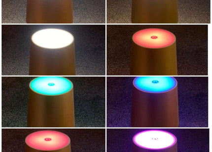 Rechargeable RGB LED Table Lamps Touch Dimmable 2 Pack IP54 White Indoor/Outdoor