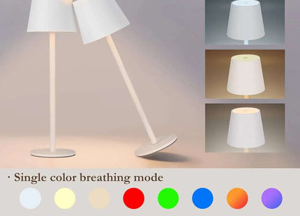 Rechargeable RGB LED Table Lamps Touch Dimmable 2 Pack IP54 White Indoor/Outdoor