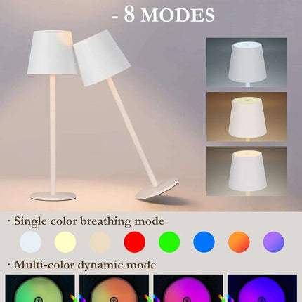 Rechargeable RGB LED Table Lamps Touch Dimmable 2 Pack IP54 White Indoor/Outdoor