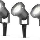 Pack of 3