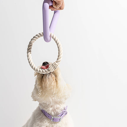 Triangle Tug Dog Chew Toy