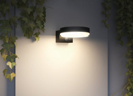 4lite Antheia Solar Sleek IP54 LED Outdoor Wall Light with Built in PIR Motion Sensor