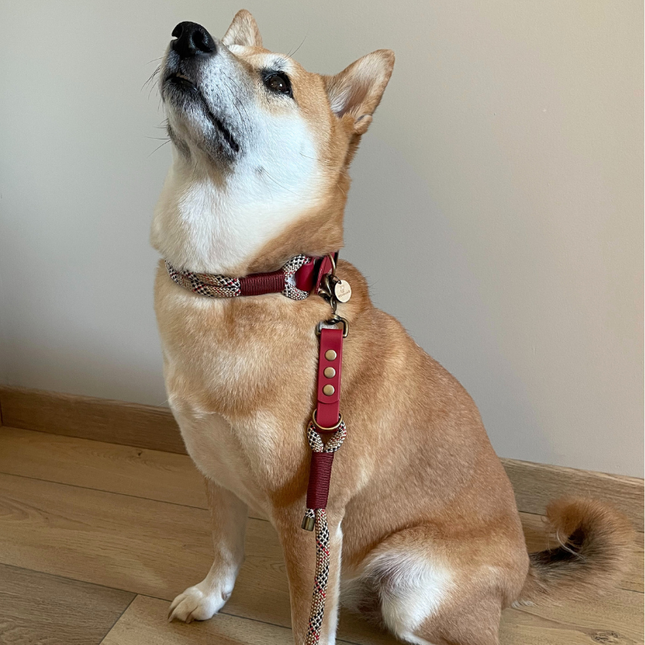 Kitsuné Tartan Red Paracord & Biothane Dog Collar