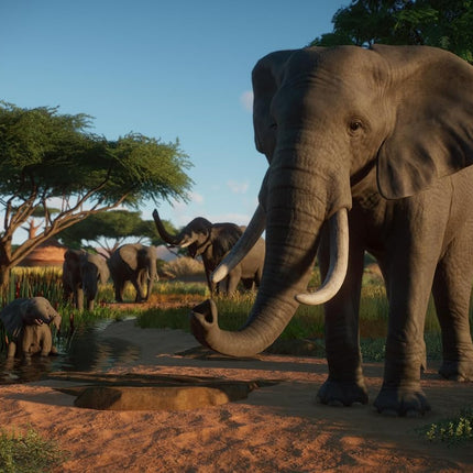 Planet Zoo: Console Edition (PlayStation 5)