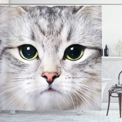 ABAKUHAUS Cat Shower Curtain, Cat Print Kitten Kitty Closeup Portrait Digital Photography Domestic Pet, Cloth Fabric Bathroom Decor Set with Hooks, 70