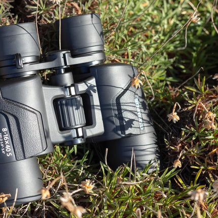 Olympus 8-16x40S Binoculars - Black