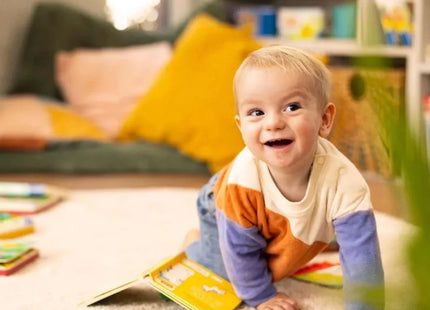 Play+ Ready Steady Shake Rattle Book - First Animals