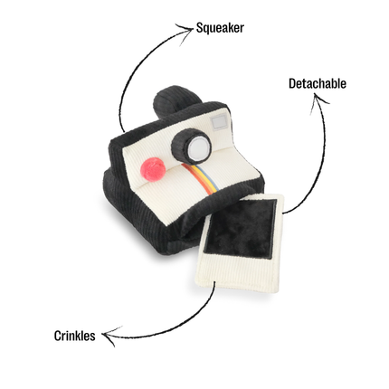 Instant Camera dog enrichment toy