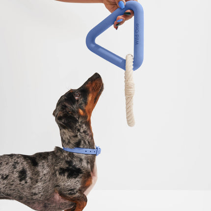 Triangle Tug Dog Chew Toy