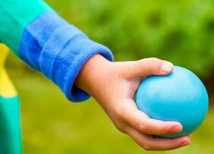 TP Wooden Boules Game