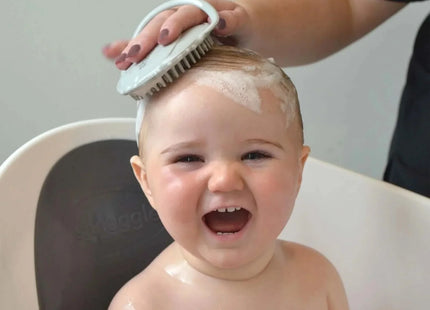 Shnuggle Baby Bath Brush Grey
