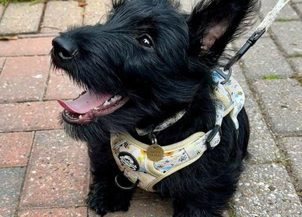 Rugged Rover™ Harness - Bee-utiful Summer