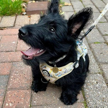 Rugged Rover™ Harness - Bee-utiful Summer