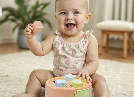 Dolu 2-in-1 Drum & Shape Sorter
