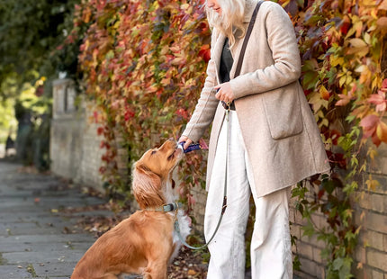 Loki Multiway Dog Lead in Khaki & Brown