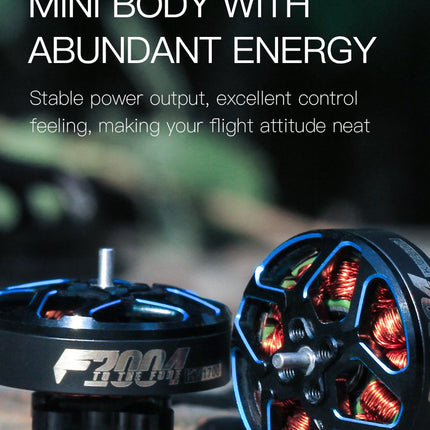 T-Motor F2004 Motor (1700kV, 3000kV)