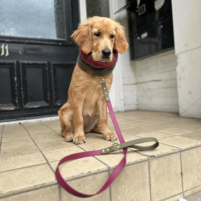 Dottie Wine & Olive Colour Block Lead