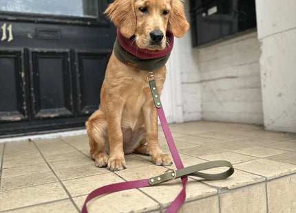 Dottie Wine & Olive Colour Block Collar