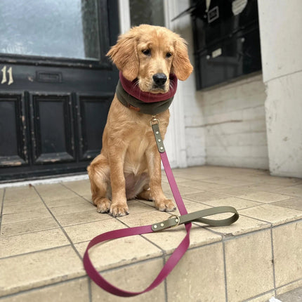 Dottie Wine & Olive Colour Block Collar
