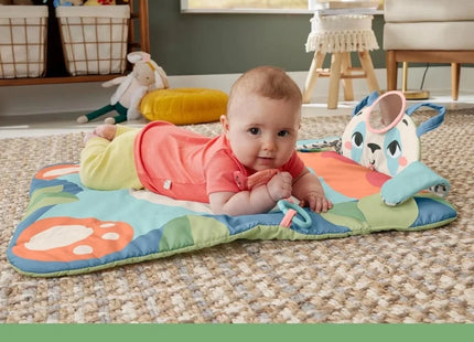 Fisher-Price Roly-Poly Panda Playmat