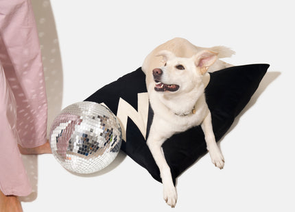 Dog Bed Big WOOF in Black Velvet