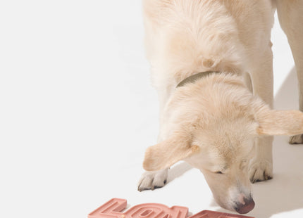 Love lick mat