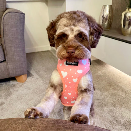 Adjustable Harness - Peachy Hearts
