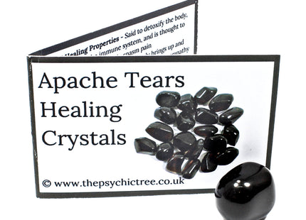 Apache Tears Crystal & Guide Pack