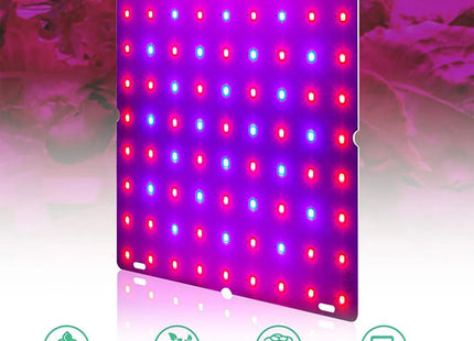 LED Plant Grow Light 1000W/2000W Full Spectrum Hydroponic