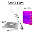 Small Size / EU