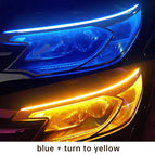 Blue To Yellow / 30cm