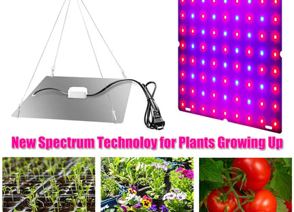 LED Plant Grow Light 1000W/2000W Full Spectrum Hydroponic