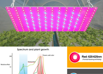 LED Plant Grow Light 1000W/2000W Full Spectrum Hydroponic