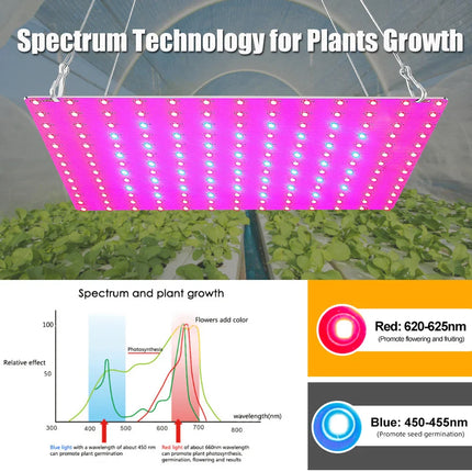 LED Plant Grow Light 1000W/2000W Full Spectrum Hydroponic