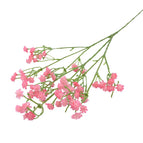 pink / 1bunch