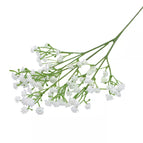 white / 1bunch