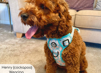 Rugged Rover™ Harness - Pastel Daisy