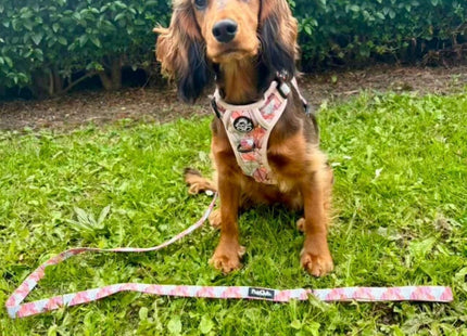 Rugged Rover™ Harness - Autumn Breeze