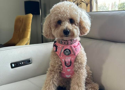 Rugged Rover™ Harness - Peachy Hearts
