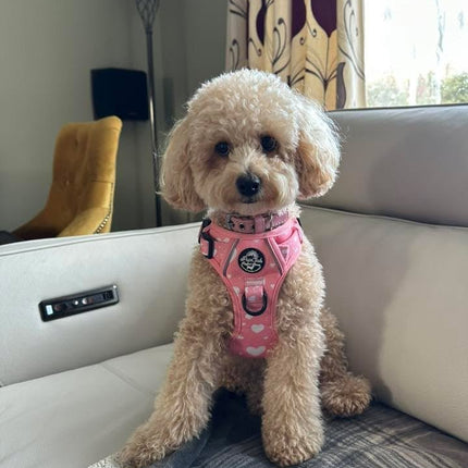 Rugged Rover™ Harness - Peachy Hearts