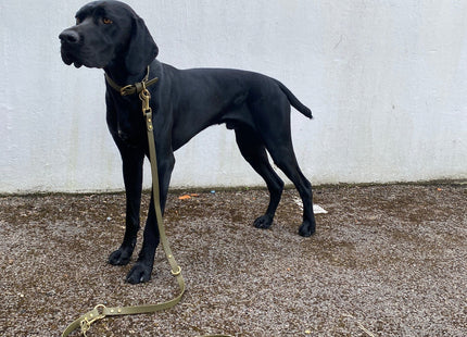 Loki Multiway Dog Lead in Khaki & Brown