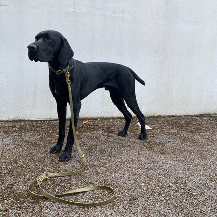 Loki Multiway Dog Lead in Khaki & Brown