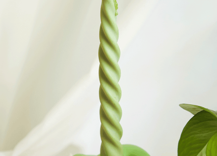 Knot Candle Holder