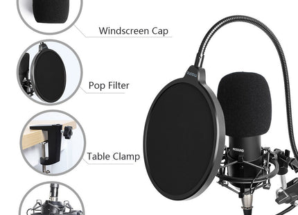 ProSound XLR Microphone with Boom Arm Kit
