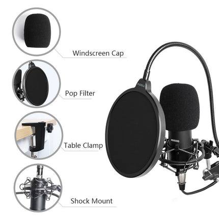 ProSound XLR Microphone with Boom Arm Kit