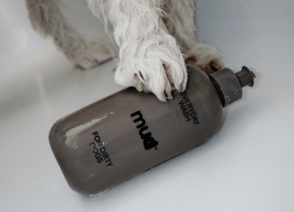 Everyday Wash for Dirty Dogs 400ml