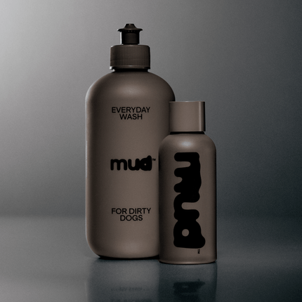 Everyday Wash for Dirty Dogs 400ml