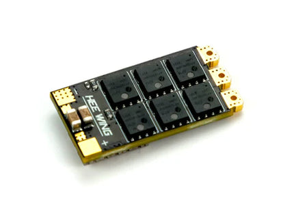 Hee Wing T1 VTOL FX-25A Upgraded ESC BLS
